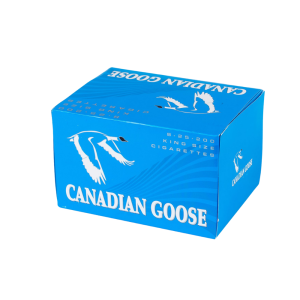 Canadian goose light Manitoba